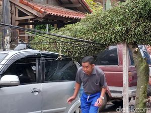 Kota Bandung Diterjang Angin Kencang, Pohon Tumbang Timpa Mobil