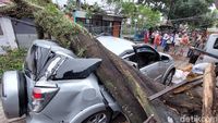 Waduh, 3 Mobil Rusak Tertimpa Pohon Tumbang di Bandung