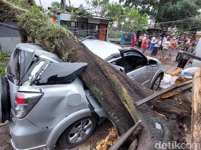 Waduh, 3 Mobil Rusak Tertimpa Pohon Tumbang di Bandung