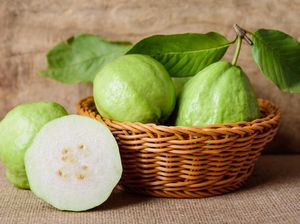 Makan Jambu Biji Efektif Turunkan Berat Badan, Ini 4 Alasannya Makan Jambu Biji Efektif Turunkan Berat Badan, Ini 4 Alasannya