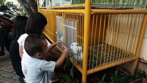 Wuih, Ada Kebun Binatang Mini di Kelurahan Karet Jaksel