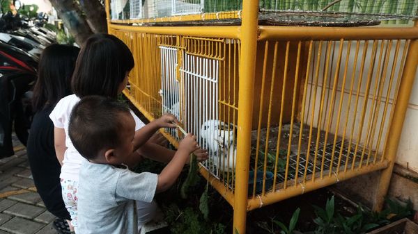 Wuih, Ada Kebun Binatang Mini di Kelurahan Karet Jaksel