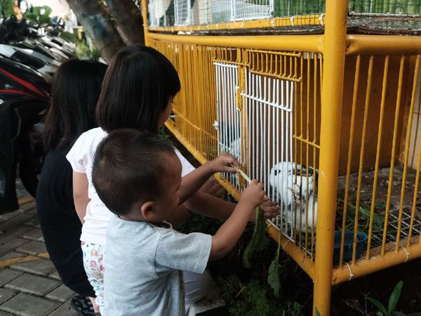 Wuih, Ada Kebun Binatang Mini di Kelurahan Karet Jaksel