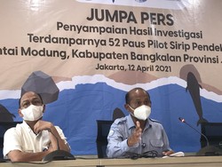 Respons Hasil Nekropsi 52 Paus Pilot, KKP Segera Ambil Tindakan