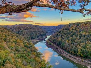 Pindah ke Sini Selama Setahun, Traveler Akan Dibayar Rp 175 Juta