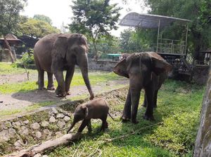 Catat, DIY Siapkan Pemeriksaan Bus Wisata di 10 Titik