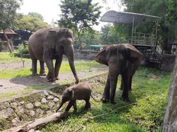 Catat, DIY Siapkan Pemeriksaan Bus Wisata di 10 Titik