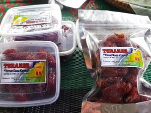 Torakor, Tomat dengan Rasa Kurma yang Manis Segar Torakor, Tomat dengan Rasa Kurma yang Manis Segar