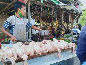 Hari Pertama Puasa, Harga Daging Ayam Naik Jadi Rp 42.000 Hari Pertama Puasa, Harga Daging Ayam Naik Jadi Rp 42.000
