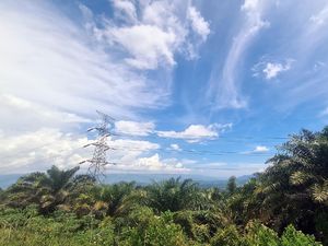 Bukit Algoritma Silicon Valley RI Gimmick Doang?