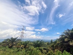 Ini Dia Lokasi Bukit Algoritma, Proyek Silicon Valley-nya RI