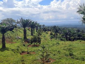 Sentilan Diaspora RI ke Bukit Algoritma Ala Silicon Valley Sentilan Diaspora RI ke Bukit Algoritma Ala Silicon Valley