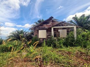 Penampakan Bangunan Mati di Lokasi Proyek Bukit Algoritma