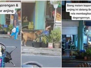 Inspiratif! 5 Orang Ini Rutin Sedekah Makanan ke Anjing dan Burung