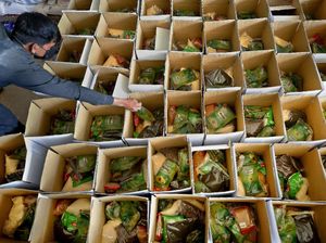 Mengaktifkan Nurani Kemanusiaan