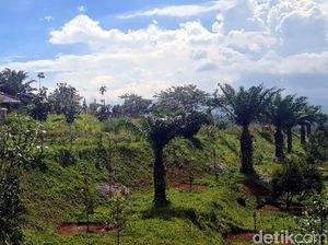 Bukit Algoritma, Silicon Valley-nya RI Cuma Gimmick Doang?
