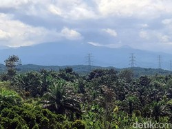 Mantan Pengusaha Silicon Valley Kritik Bukit Algoritma, Kenapa?