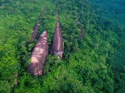 Ada Paus Raksasa di Tengah Hutan Sampai Tujuan di Balik TMII