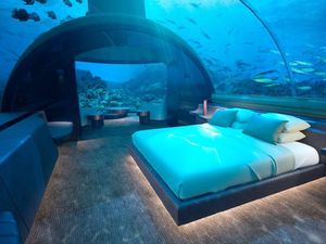 Kamu Bisa Menginap di Bawah Laut Bareng Hiu di Sini