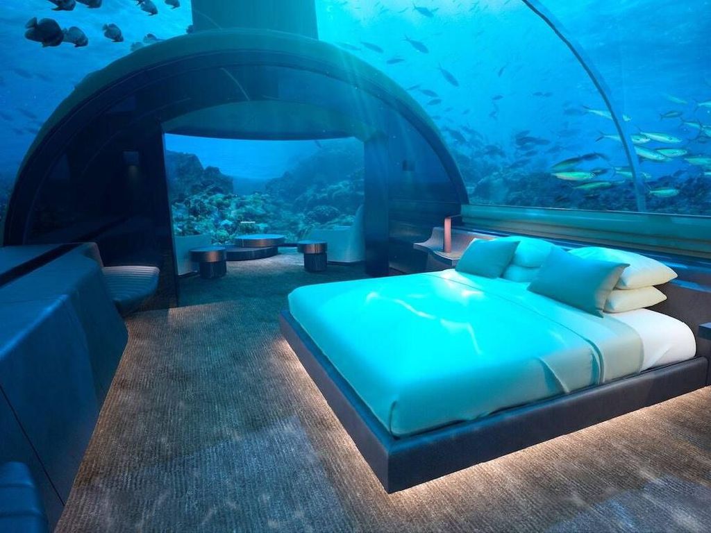 Kamu Bisa Menginap di Bawah Laut Bareng Hiu di Sini Kamu Bisa Menginap di Bawah Laut Bareng Hiu di Sini
