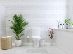 5 Tanaman yang Bisa Tumbuh di Kamar Mandi