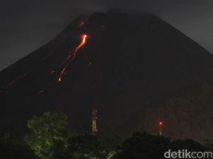 Tengok  Merapi Kembali Muntahkan Lava Pijar
