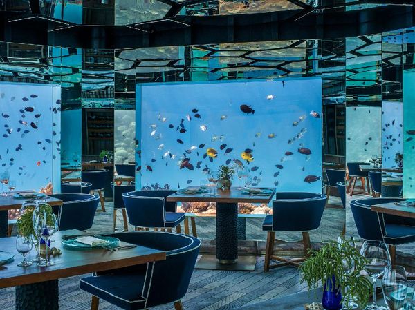 Foto Resor Mewah Maldives yang Tawarkan Keindahan Bawah Laut dan Isi Langit