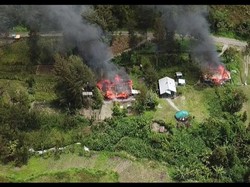 Kacau! KKB Bunuh Warga Puncak Papua Lagi, Rumah Wakil Ketua DPRD Dibakar