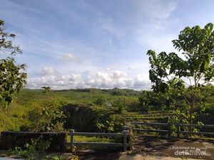 Generasi Muda Memimpin Desa