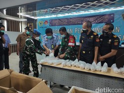 80 Ribu Benih Lobster Senilai Rp 8 Miliar Diamankan di Bandara Juanda