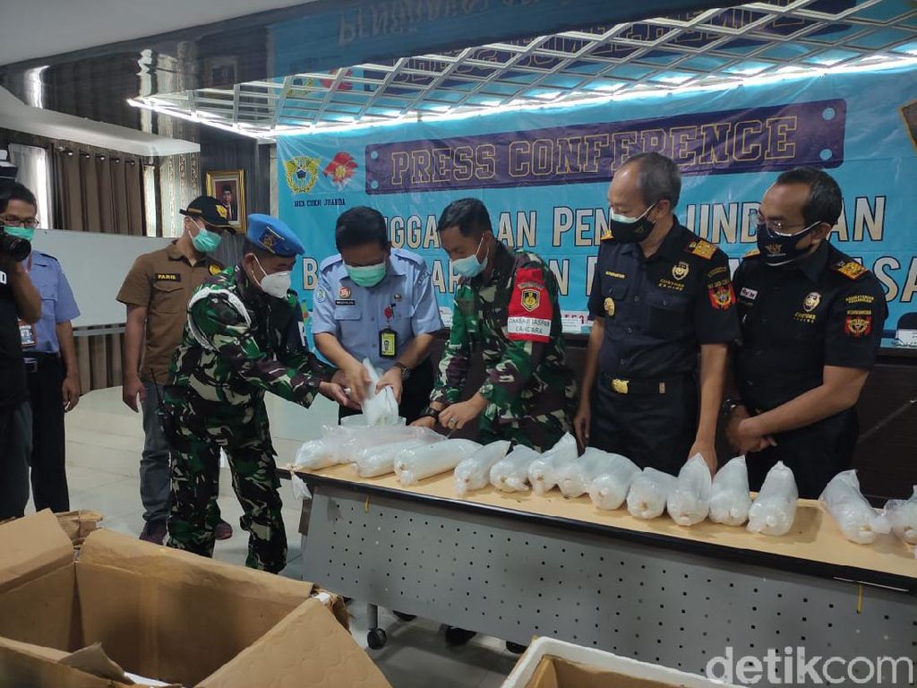 80 Ribu Benih Lobster Senilai Rp 8 Miliar Diamankan di Bandara Juanda 80 Ribu Benih Lobster Senilai Rp 8 Miliar Diamankan di Bandara Juanda