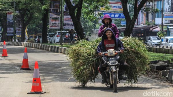 Biker Santuy di Atas Rumput