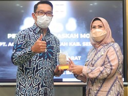 Lewat BUMD, Ratu Tatu & Ridwan Kamil Jalin Kerja Sama Bidang Pangan