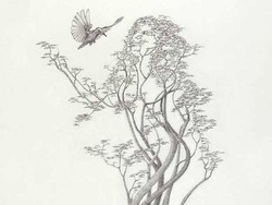 Tes Kepribadian: Gambar Wanita, Pohon, atau Burung yang Pertama Kamu Lihat?