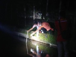 2 Bocah di Tulungagung Tewas Tenggelam dalam Kolam Ikan Koi