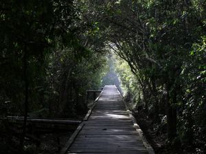 KLHK Dorong Wisata Alam Virtual di Tengah Pandemi