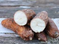 7 Makanan Paling Berbahaya di Dunia, Ada yang Beracun dan Mematikan!