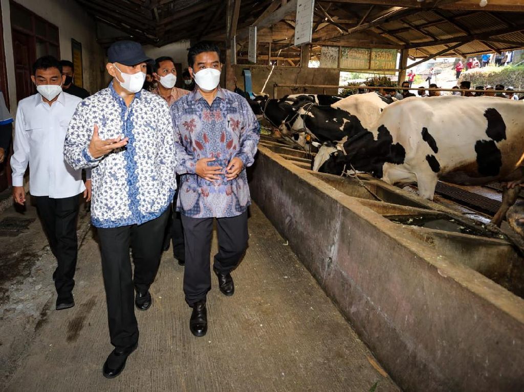 Modernisasi Koperasi Pangan, SAE Pujon Dapat Kucuran Modal Rp 12 M Modernisasi Koperasi Pangan, SAE Pujon Dapat Kucuran Modal Rp 12 M