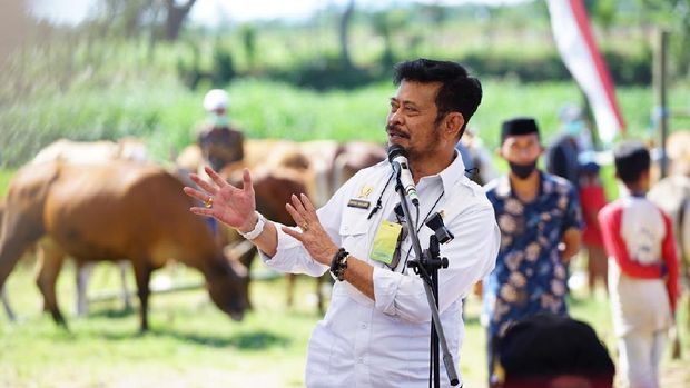Menteri Pertanian, Syahrul Yasin Limpo memantau pengembangan sapi dan kerbau siap jual yang memiliki bobot di atas rata-rata di Kabupaten Jeneponto, Sulawesi Selatan.