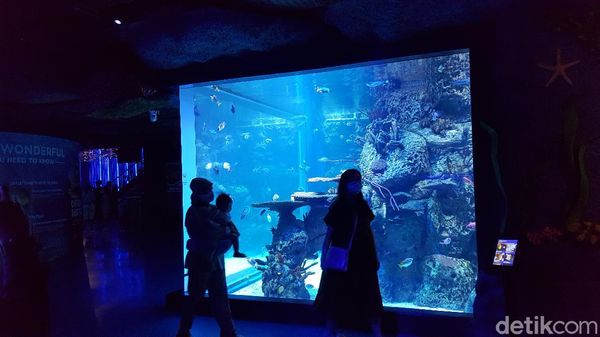 Foto: Ngabuburit di Jakarta Aquarium dan Safari