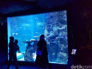 Foto: Ngabuburit di Jakarta Aquarium dan Safari Foto: Ngabuburit di Jakarta Aquarium dan Safari