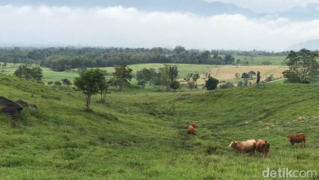 Foto: New Zealand ala Sumatera Barat Foto: New Zealand ala Sumatera Barat