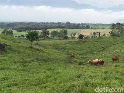 Foto: New Zealand ala Sumatera Barat