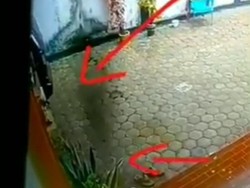 CCTV Babi Ngepet Hebohkan Meulaboh