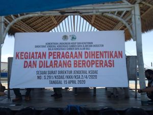 Lokasi Lucinta Luna Tunggangi Lumba-lumba Pernah Ditutup BKSDA Bali Lokasi Lucinta Luna Tunggangi Lumba-lumba Pernah Ditutup BKSDA Bali