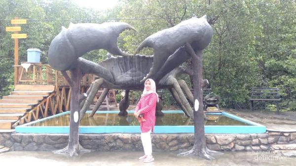 Foto: Waka Yoya, Destinasi Kuliner dan Mangrove Keren di Kepulauan Sula