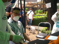 Asa Artis-Musisi untuk Kembali Berkarya Usai Divaksin Corona