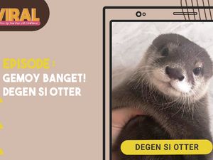 Viral Si Degen, Otter Gemoy yang Seliweran di Medsos