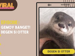 Viral Si Degen, Otter Gemoy yang Seliweran di Medsos