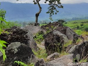 Melihat Onggokan Batu Hitam di Aliran Lava Ijen Purba yang Meliuk Bak Ular Melihat Onggokan Batu Hitam di Aliran Lava Ijen Purba yang Meliuk Bak Ular